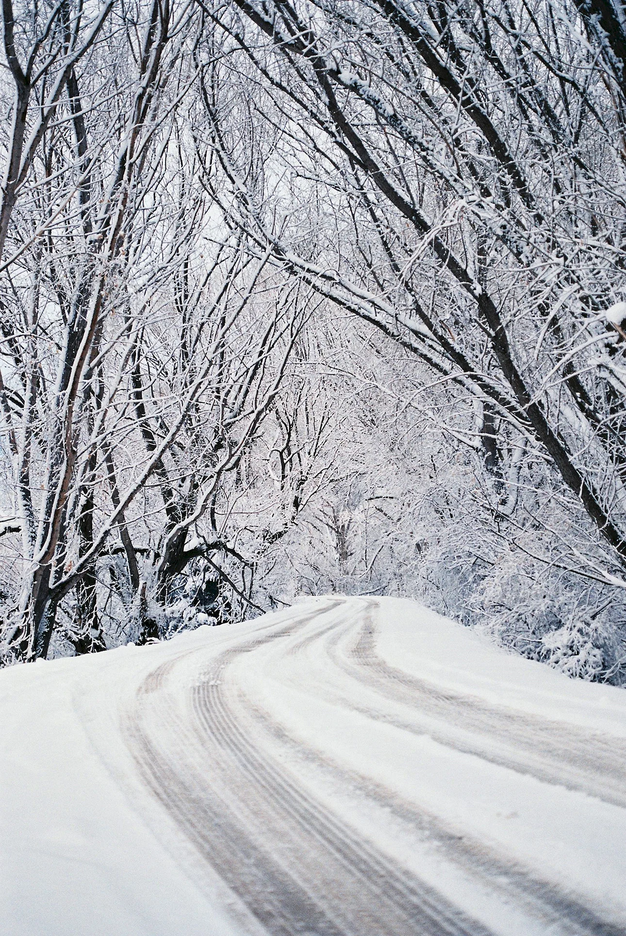 Snow Covered Road Wallpaper For iPhone