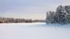 Snow Forest Landscape Wallpaper