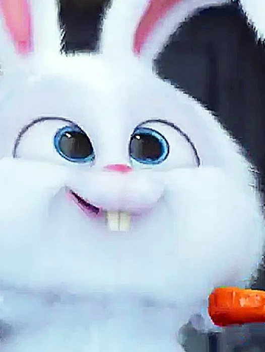 Snowball Secret Life Of Pets Wallpaper