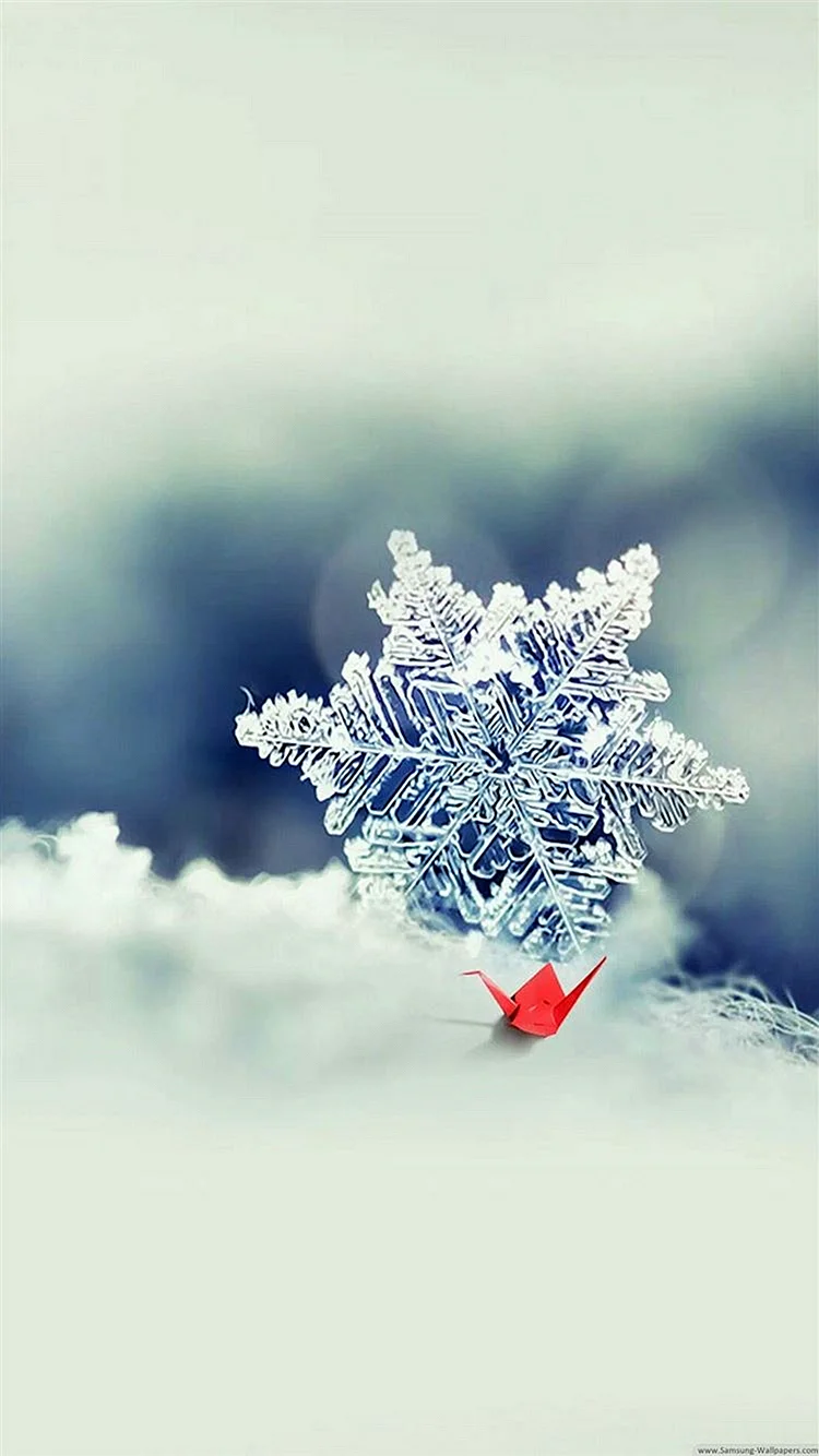 Snowflake Wallpaper For iPhone