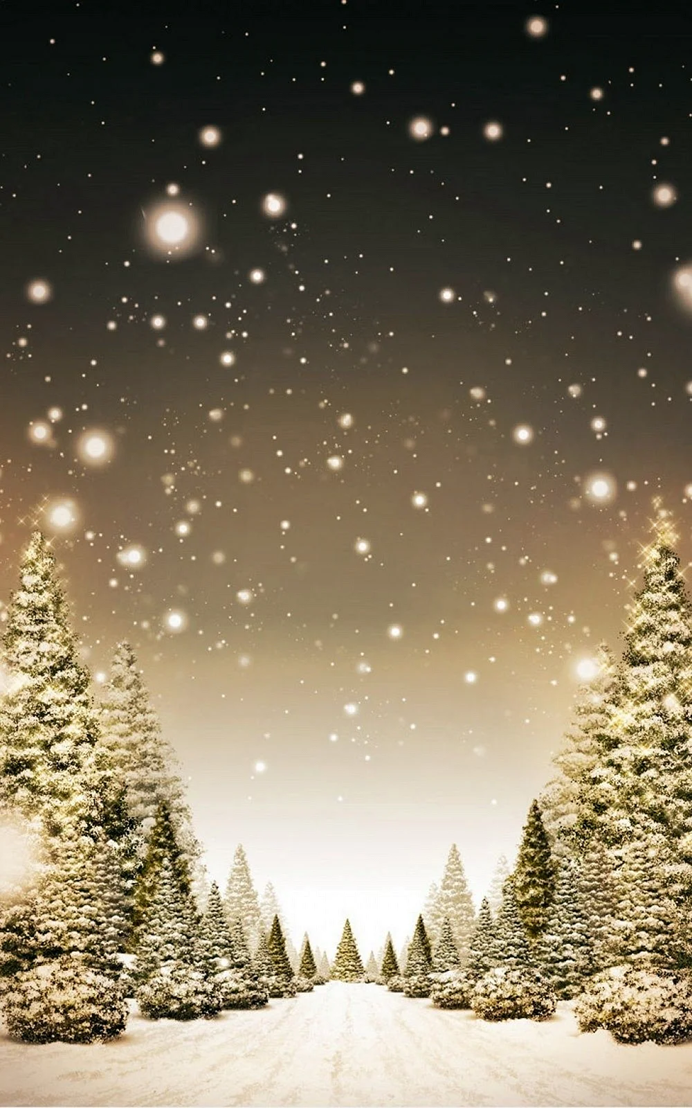 Snowy Christmas Wallpaper For iPhone