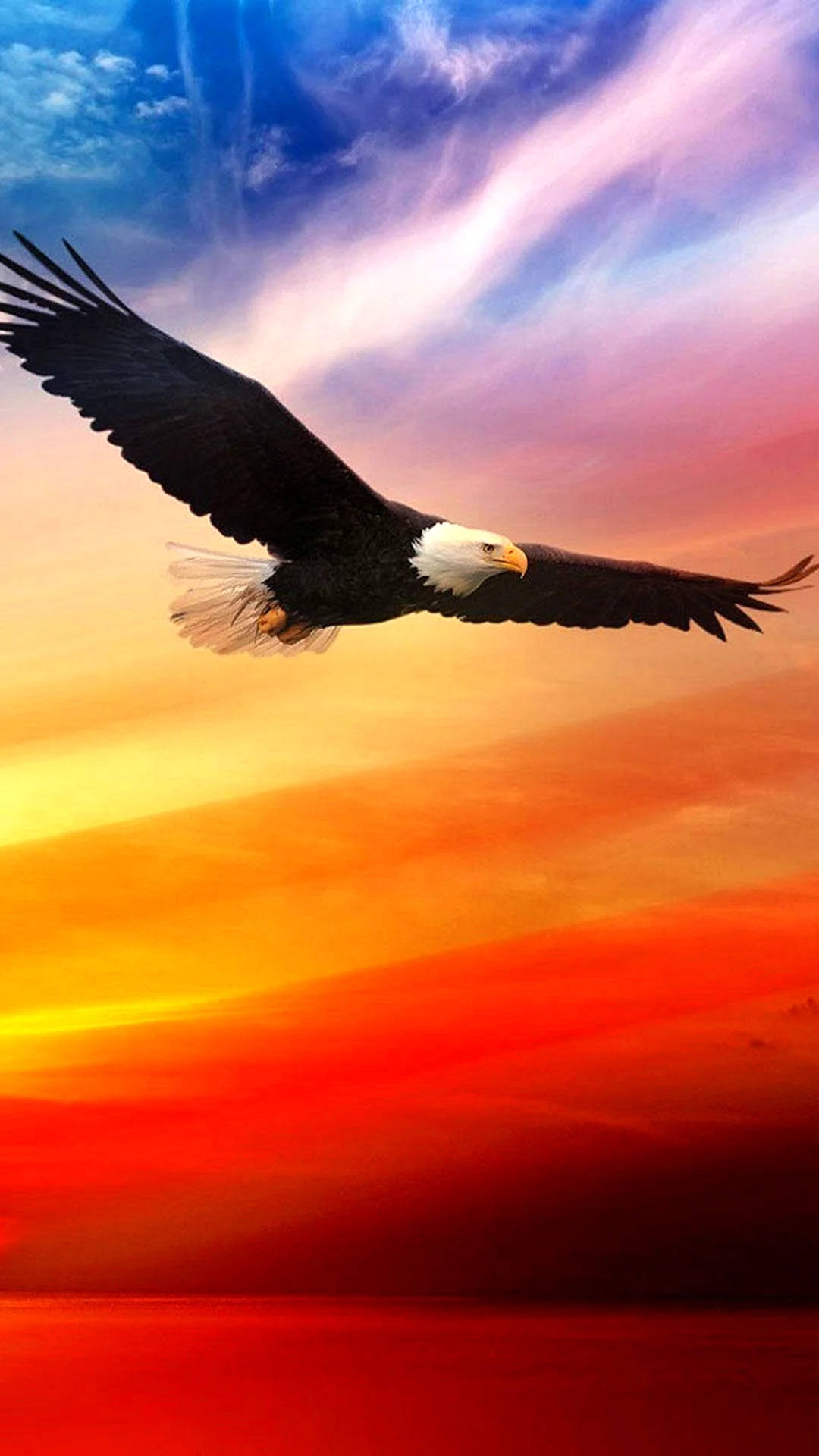 Soaring Eagle Wallpaper For iPhone