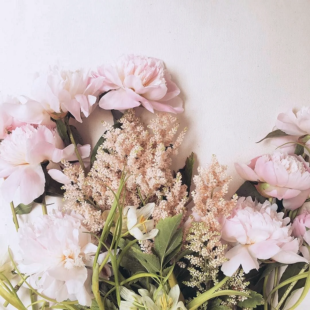 Soft Flower Wallpaper