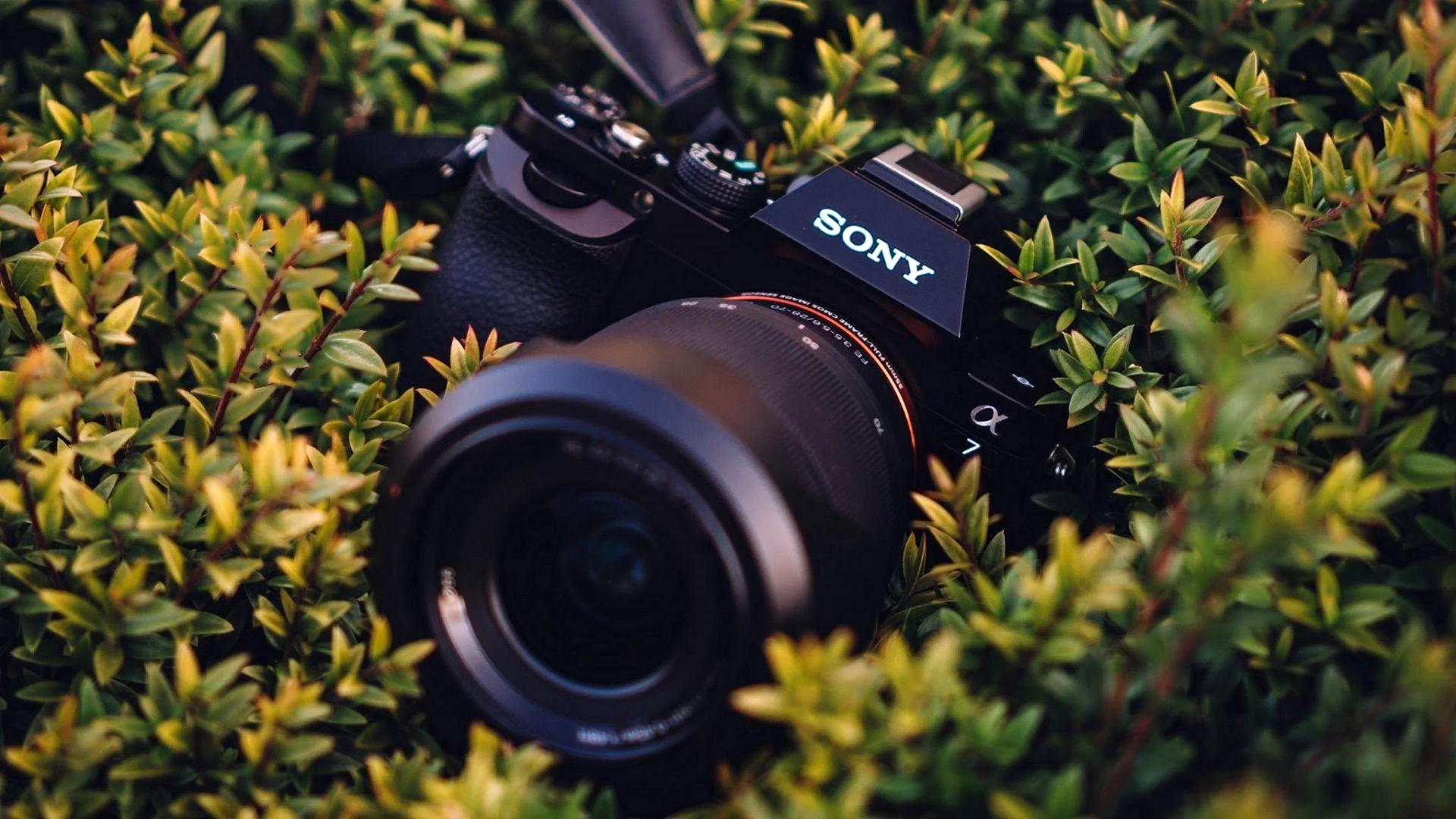 Sony Camera Wallpaper