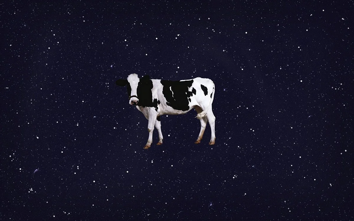 Spaceship Cow Wallpaper