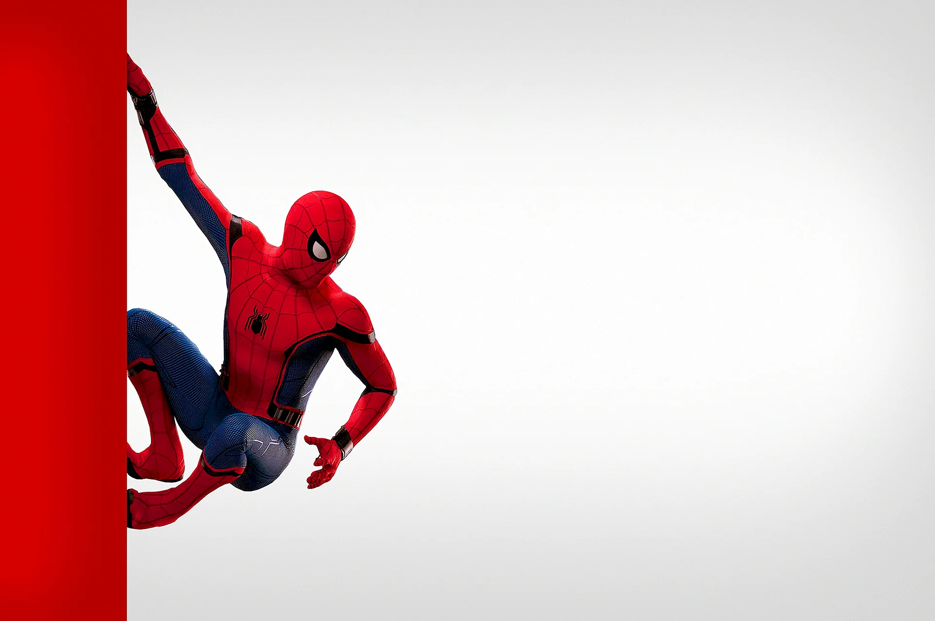 Spider Man Wallpaper