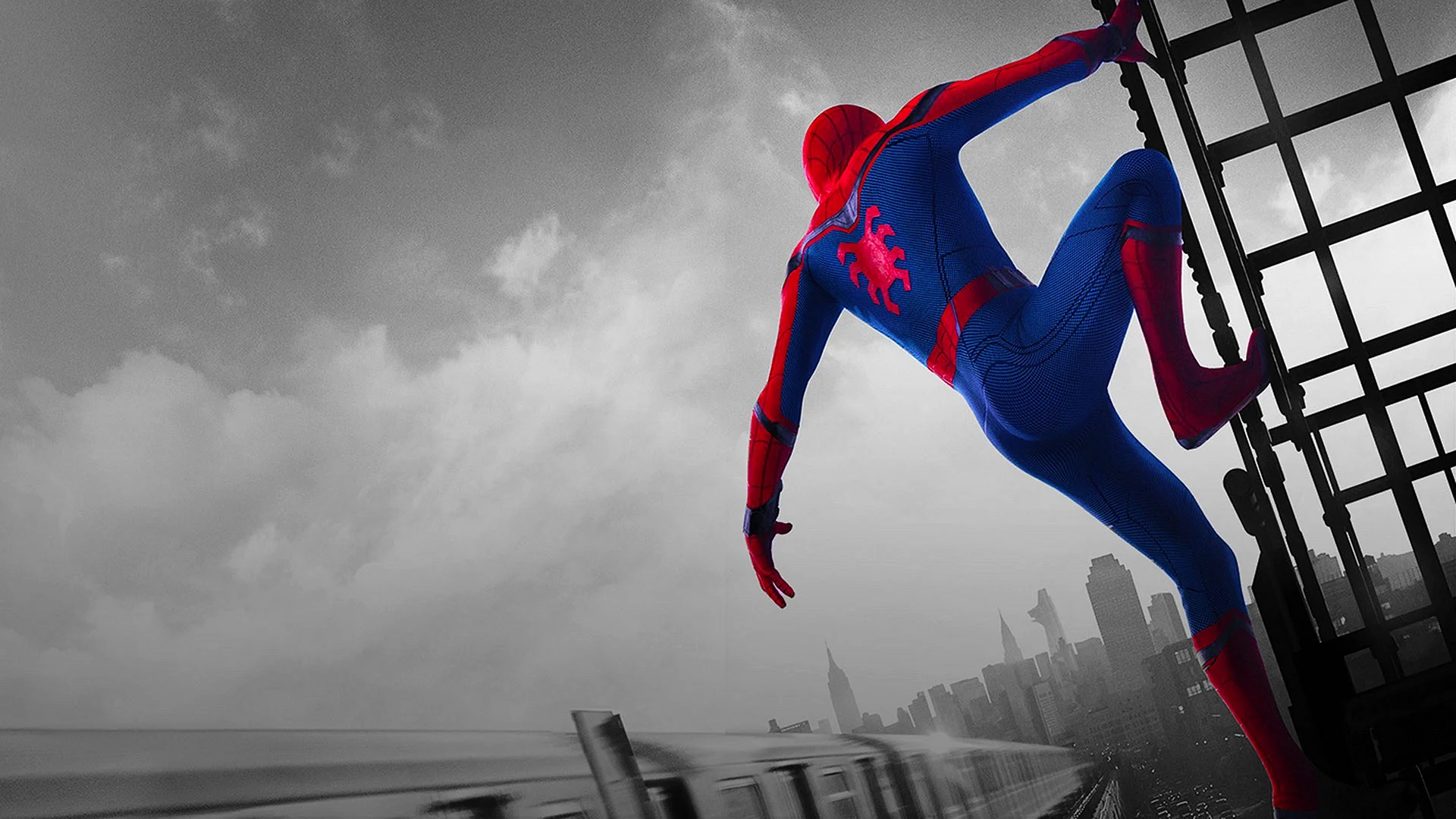 Spider Man Wallpaper