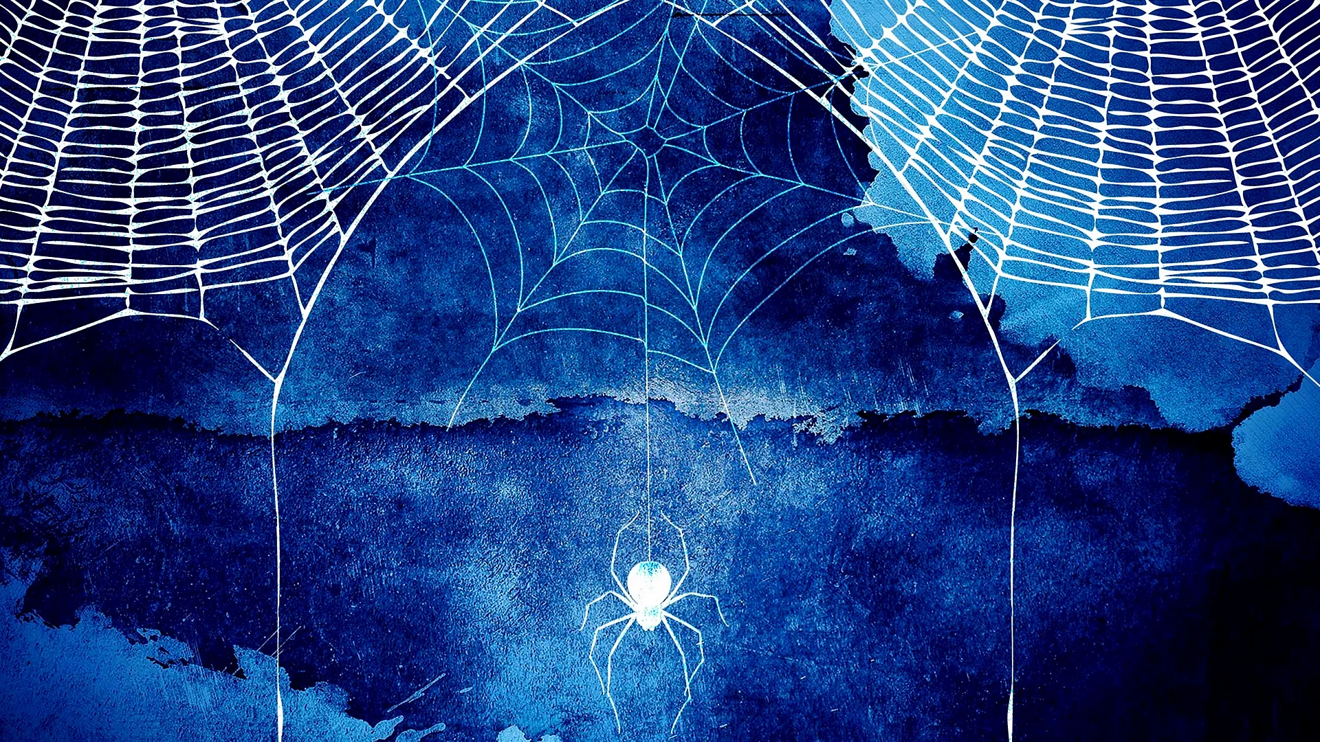 Spider Web Wallpaper