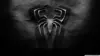 Spiderman 3 logo Wallpaper