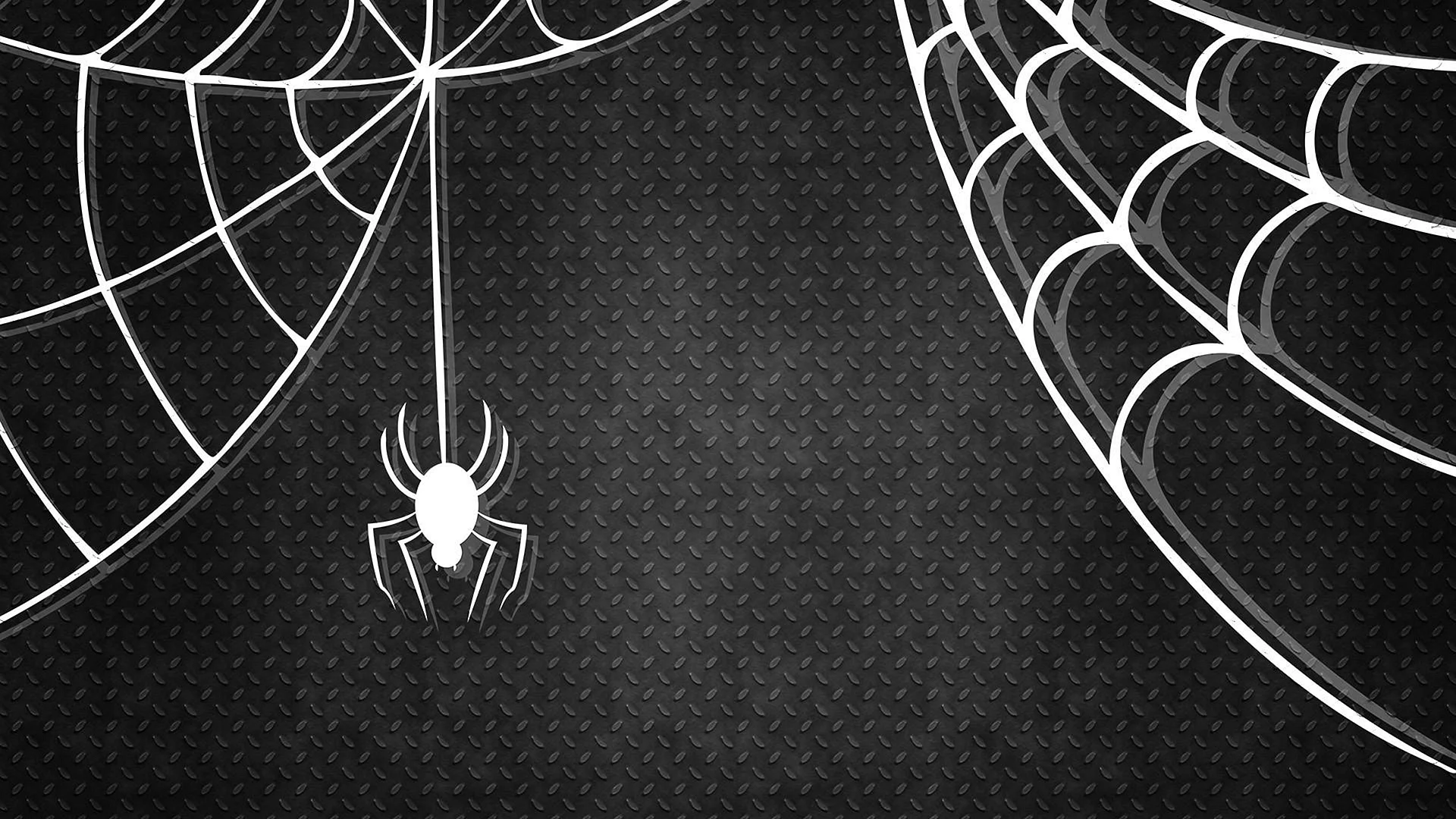 Spider-Man Spider Web Wallpaper