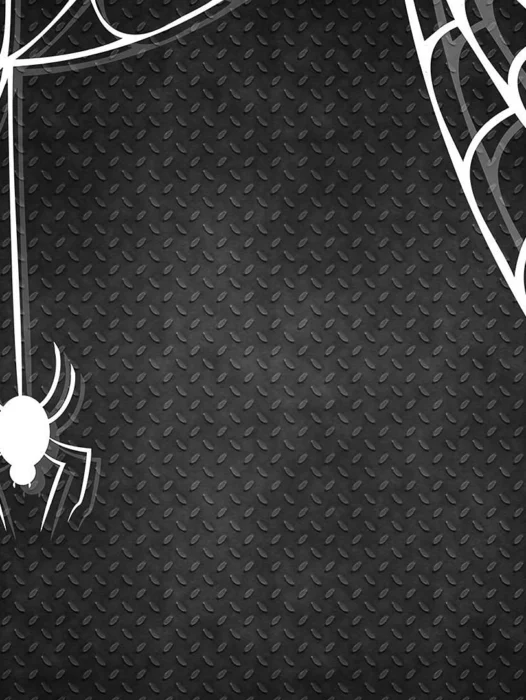 Spider-Man Spider Web Wallpaper
