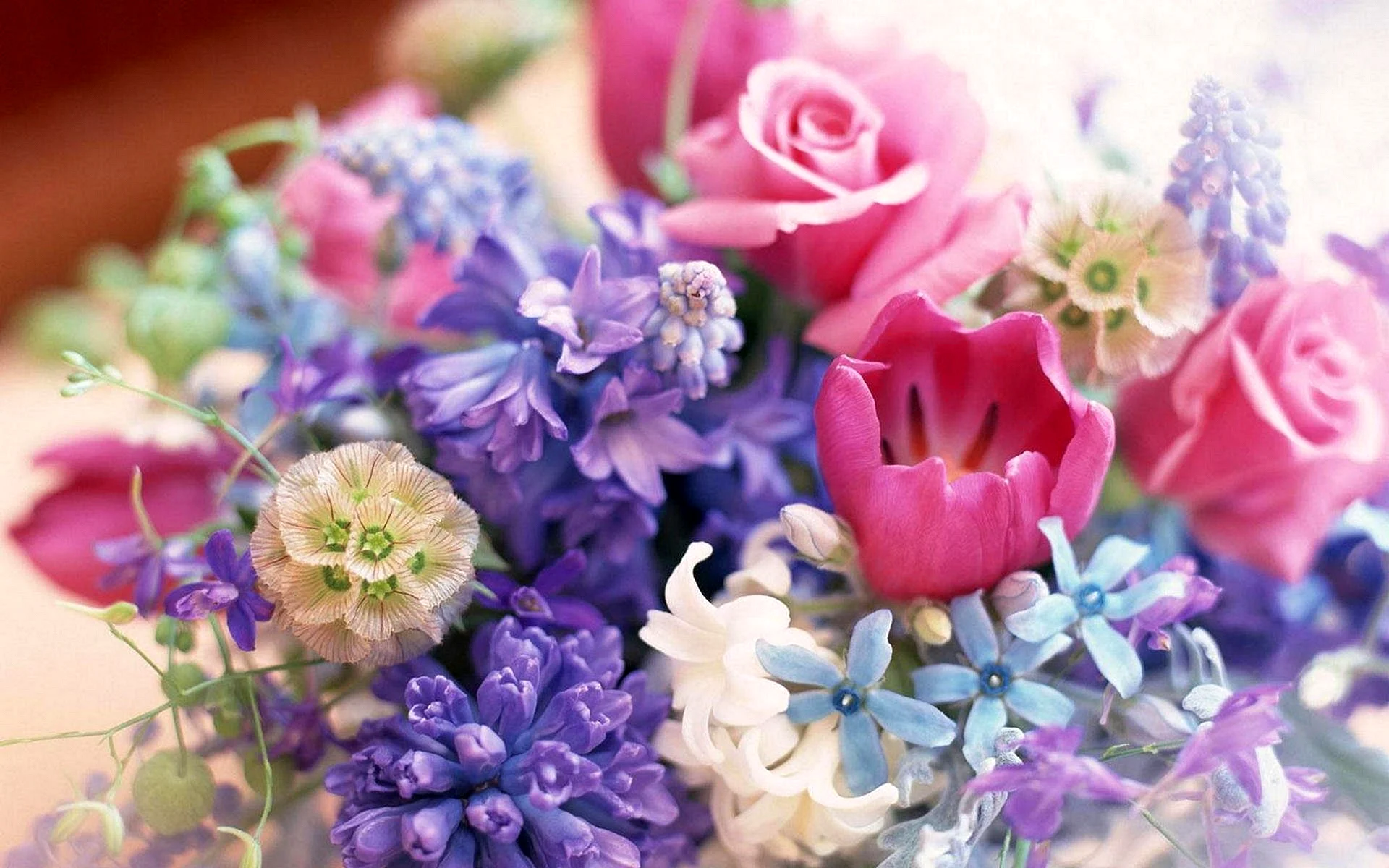 Spring Flowers Bouquet Wallpaper