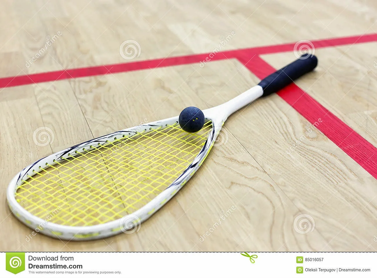 Squash Ball Sport Wallpaper