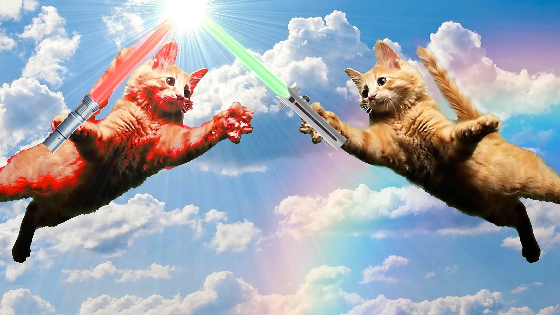 Star Wars Cat Wallpaper