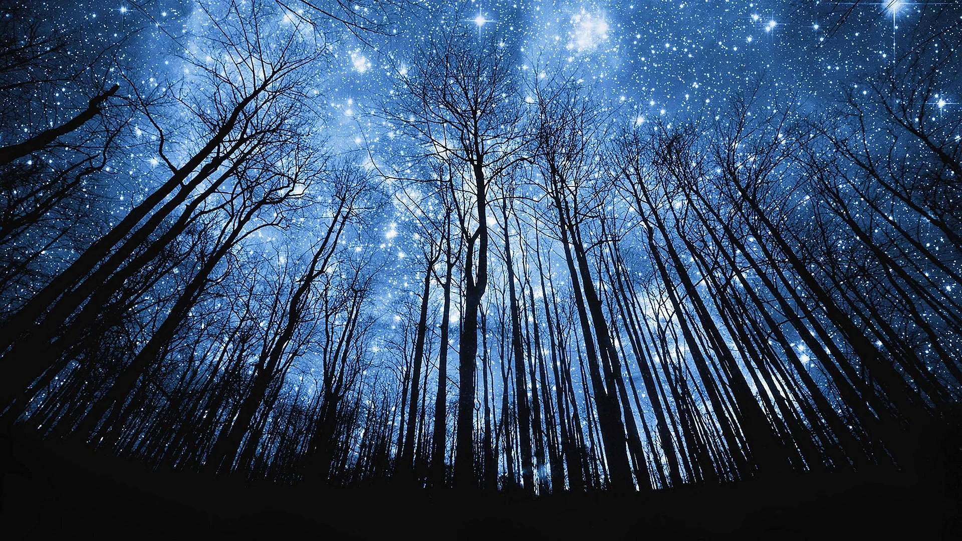 Starry Sky Wallpaper