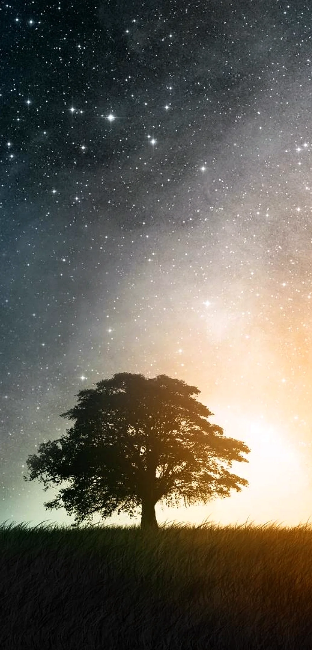 Starry Sky Wallpaper For iPhone