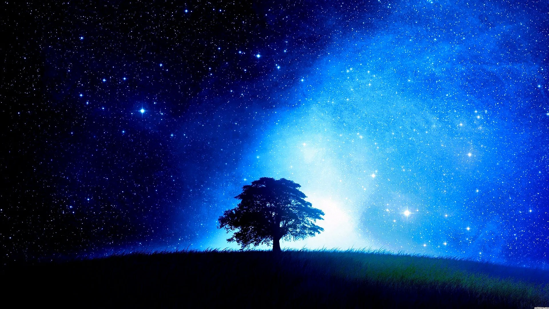 Starry Sky Wallpaper