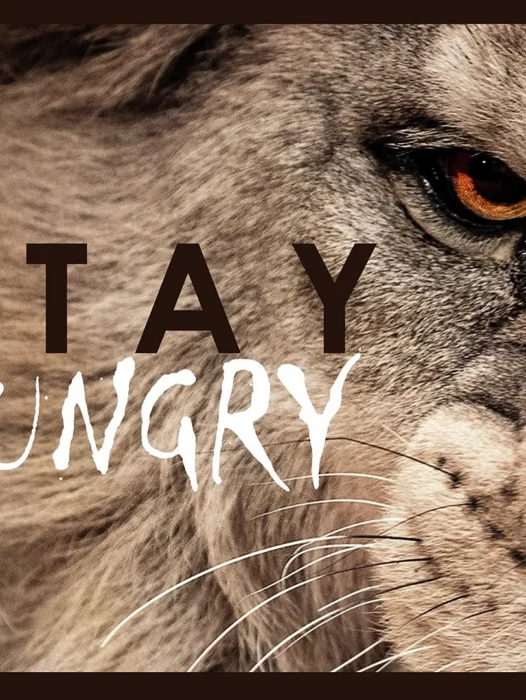 Stay Hungry Lion Wallpaper