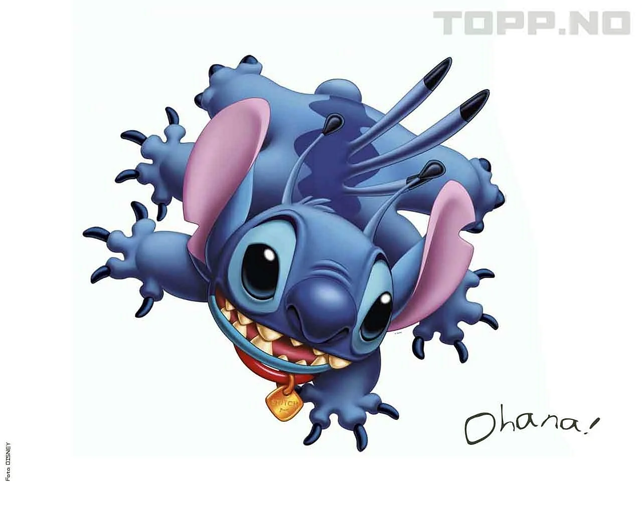 Stitch Wallpaper