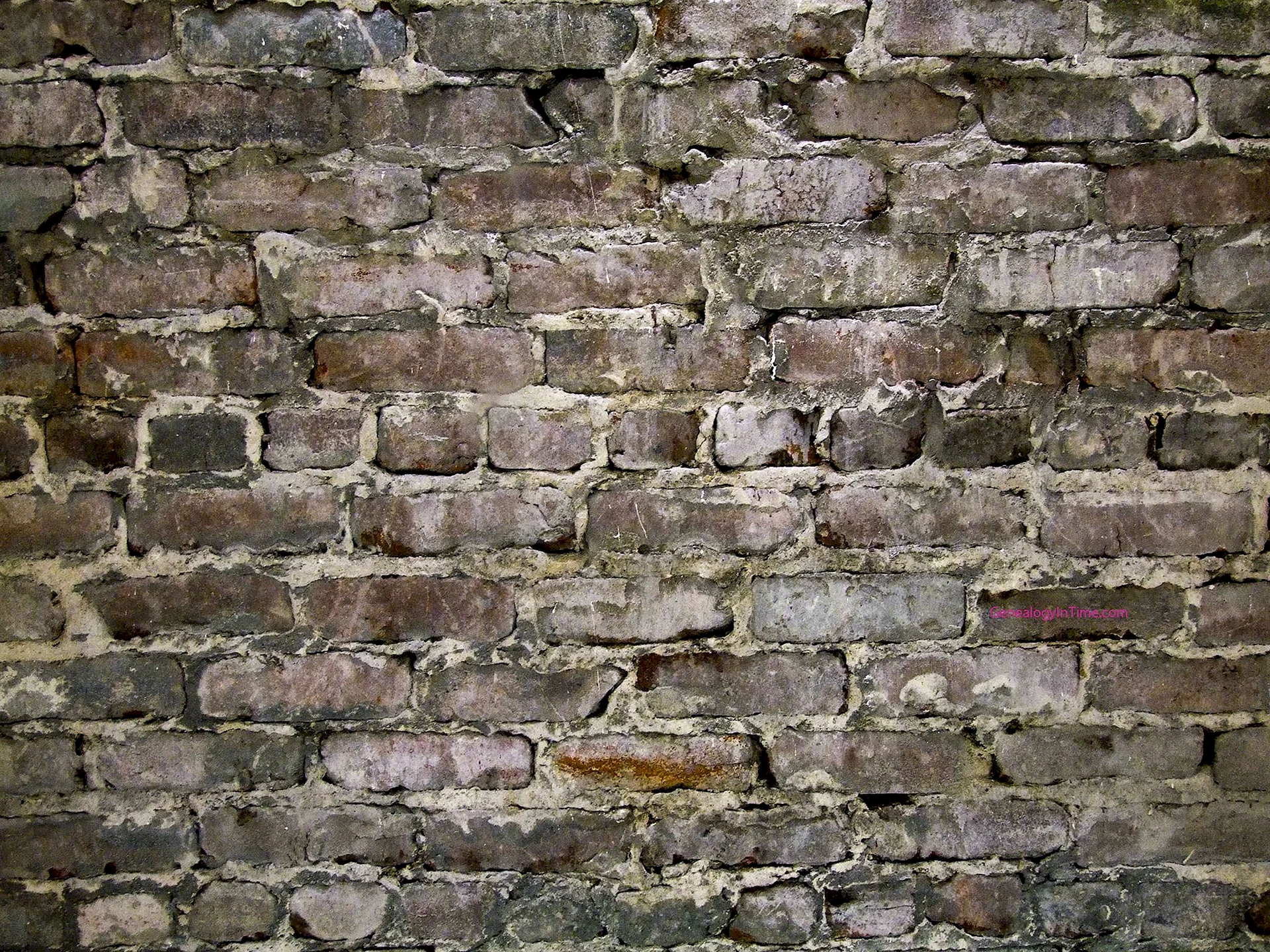 Stone Wall and Brick Wall Wallpaper