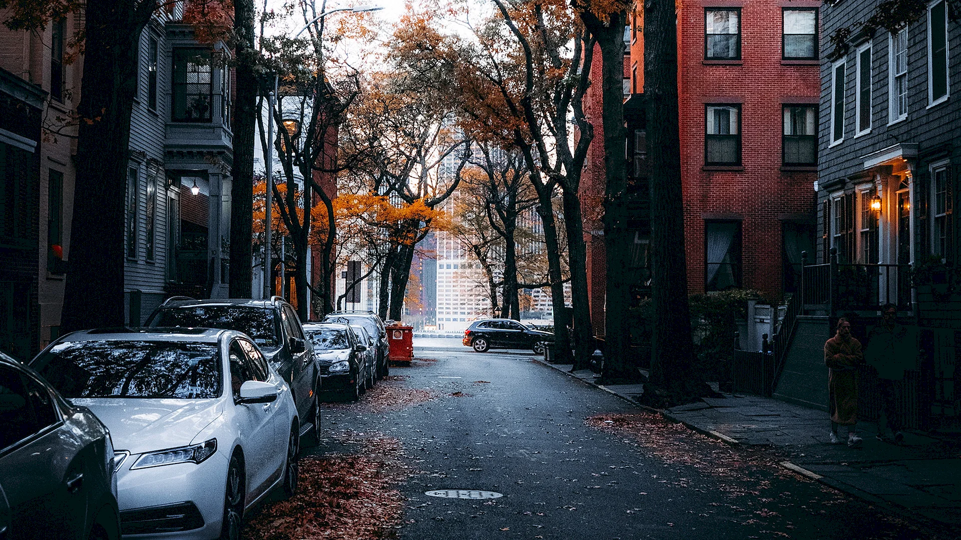 Street City autumn Wallpaper