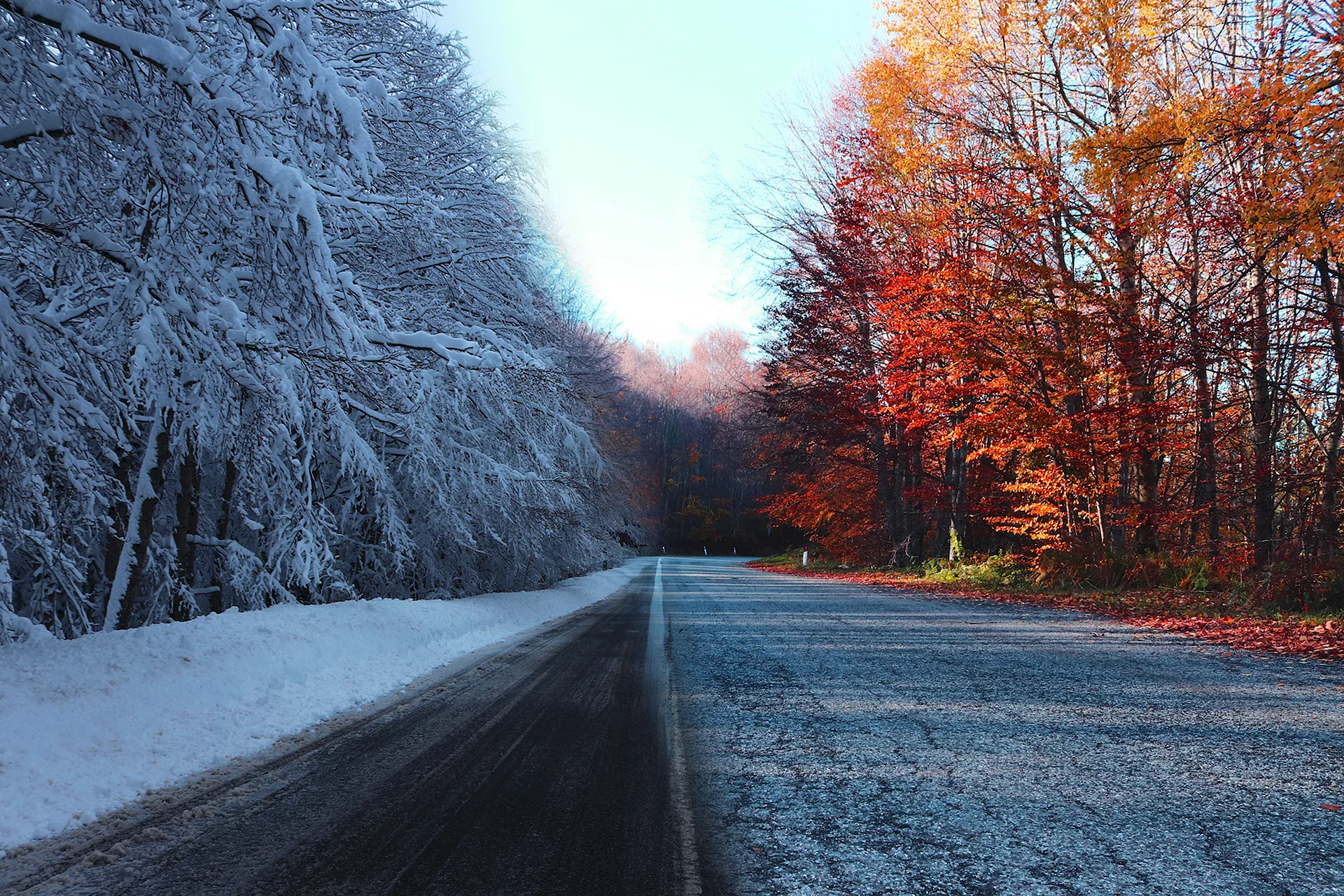 Summer And Winter Road Wallpaper