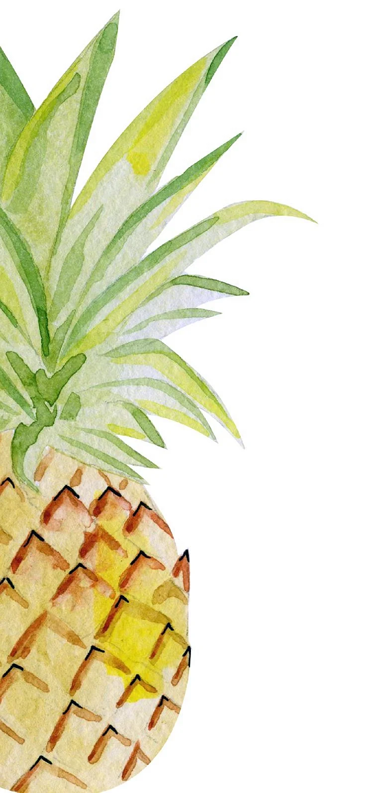 Summer Pineapple Wallpaper For iPhone
