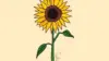Sunflower Art Wallpaper