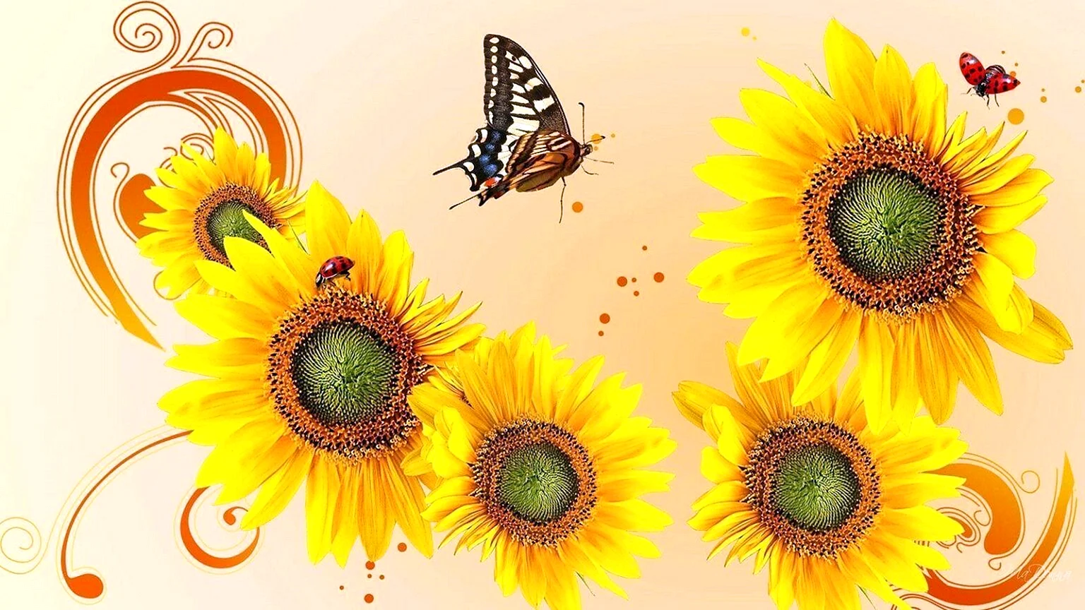 Sunflower Butterfly Art Wallpaper