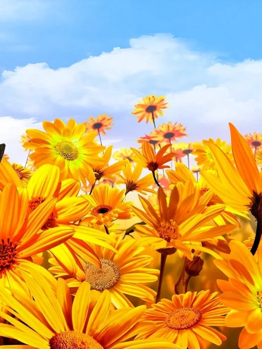 Sunflower With Butterfly Wallpaper