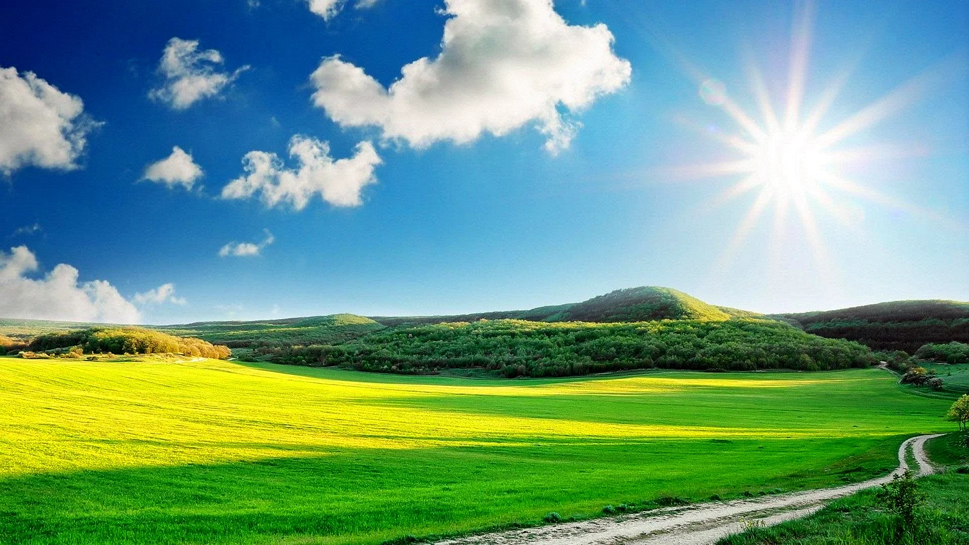 Sunny Day Wallpaper