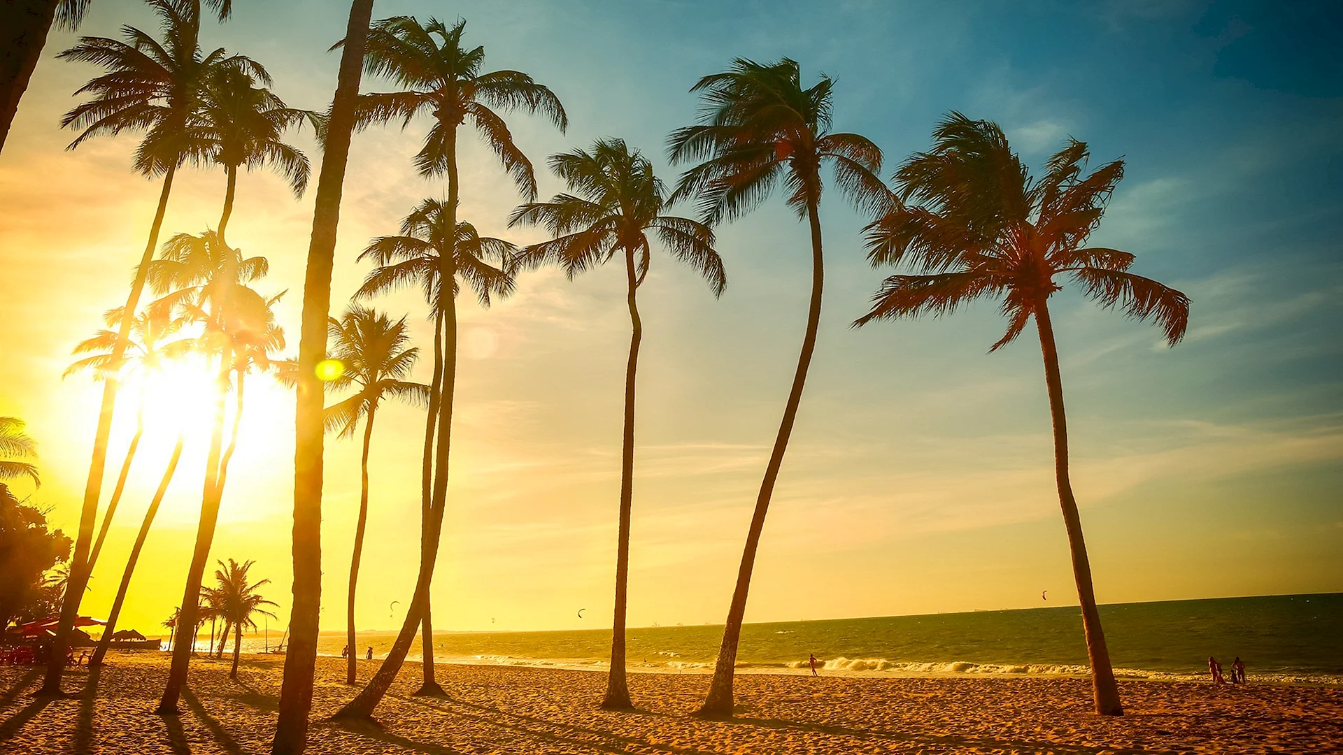 Sunset Beach Palm Tree Wallpaper