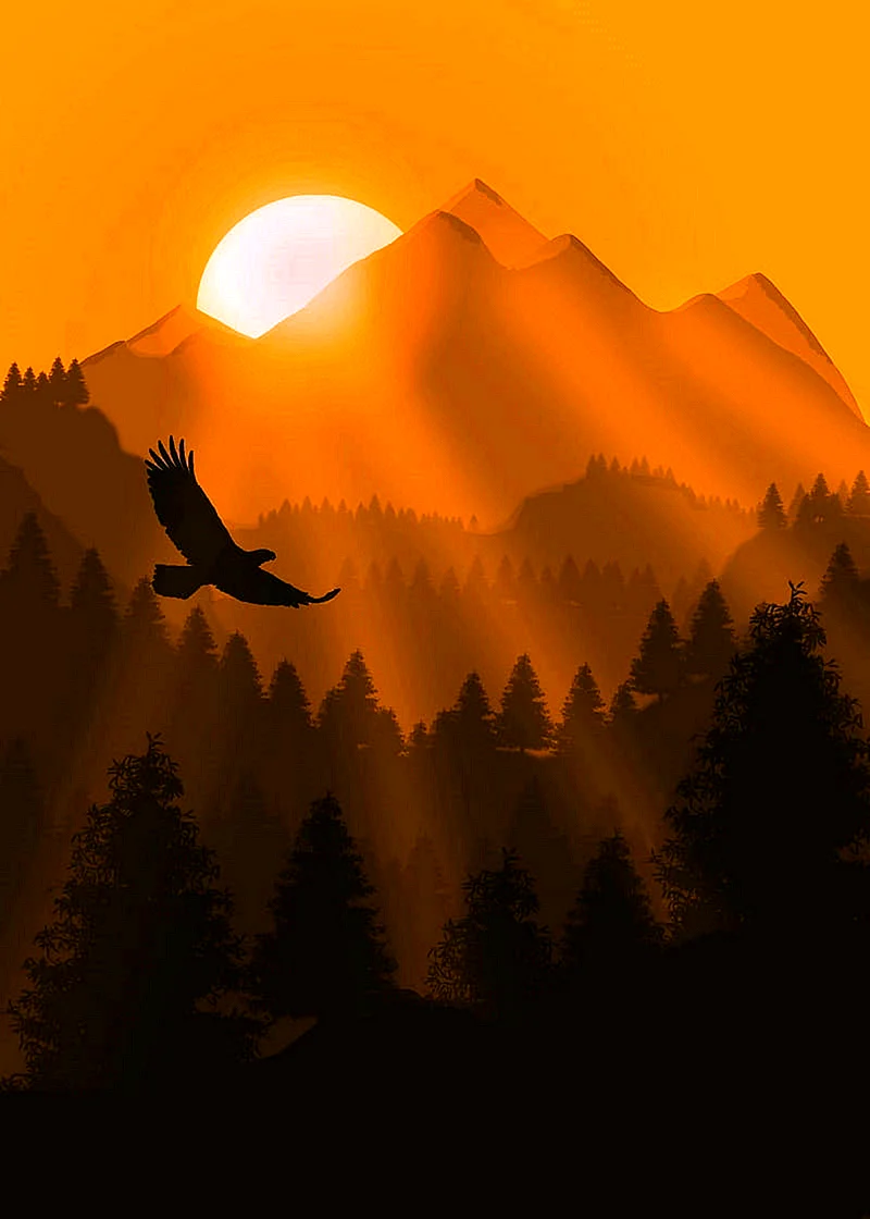 Sunset Eagle Wallpaper For iPhone