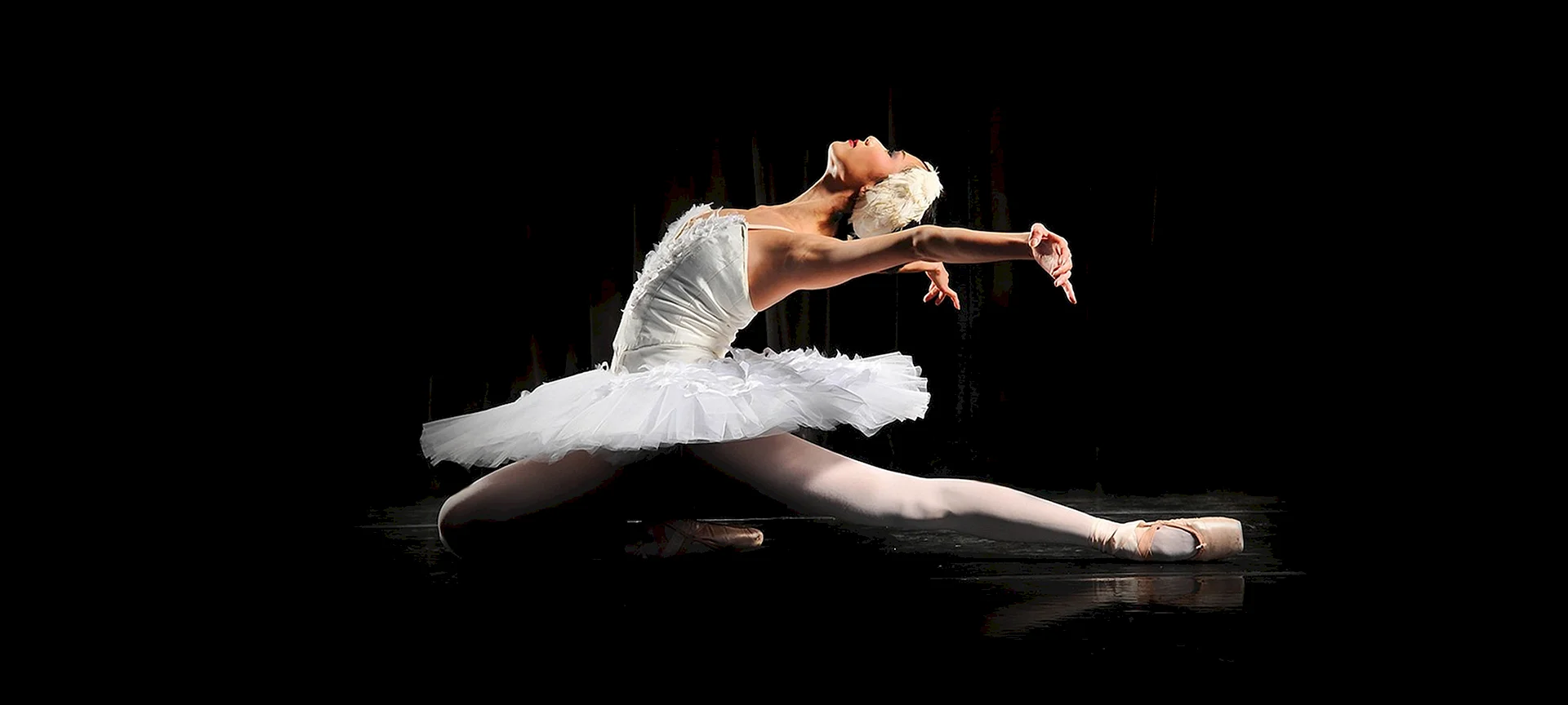 . Swan Lake Ballerina Wallpaper