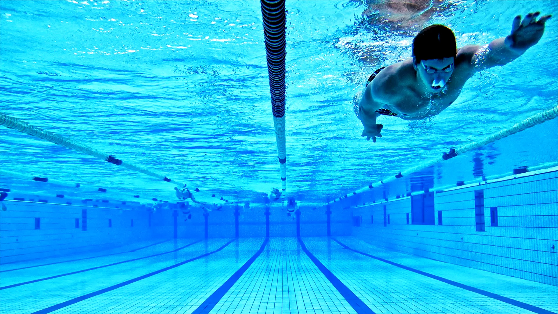 Swimming Wallpaper