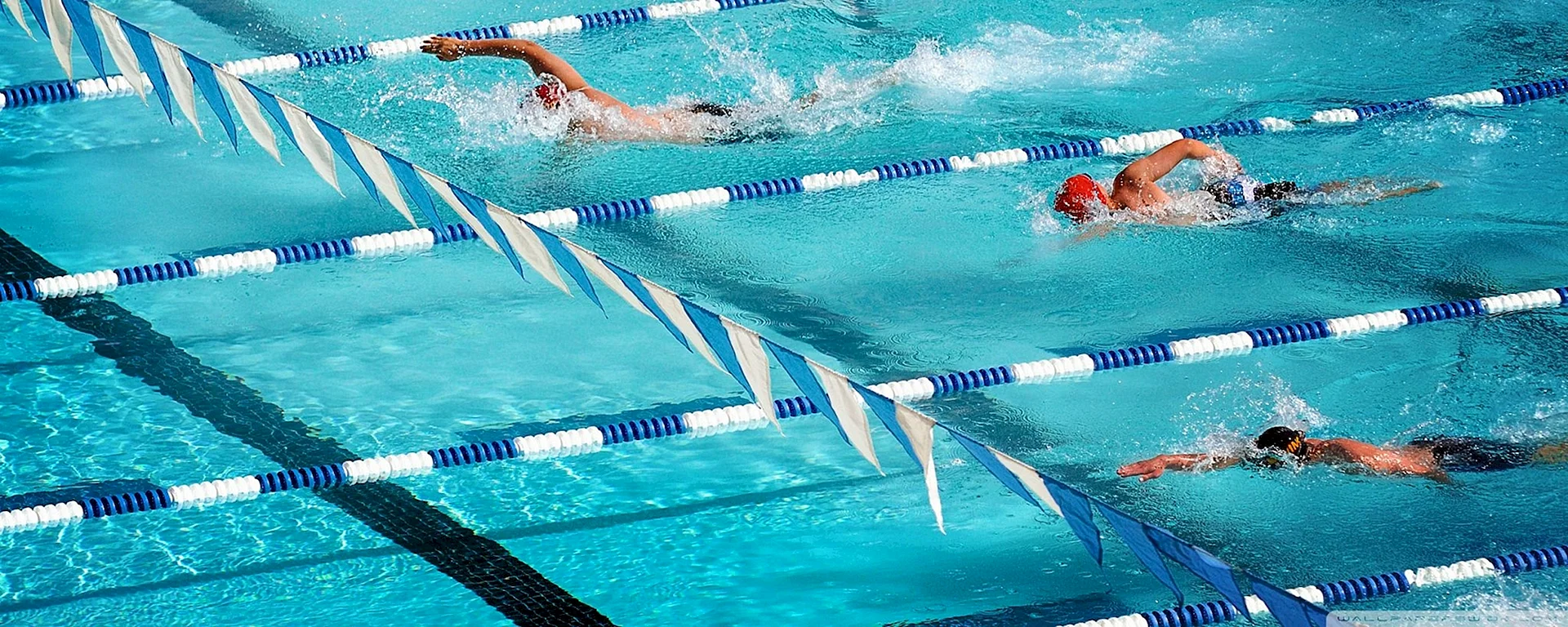 Swimming Race Wallpaper