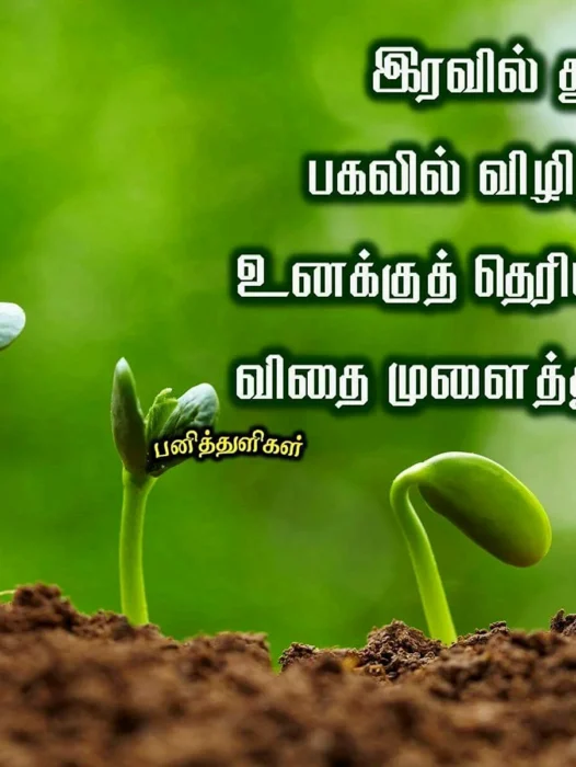 Tamil Bible Verses Wallpaper