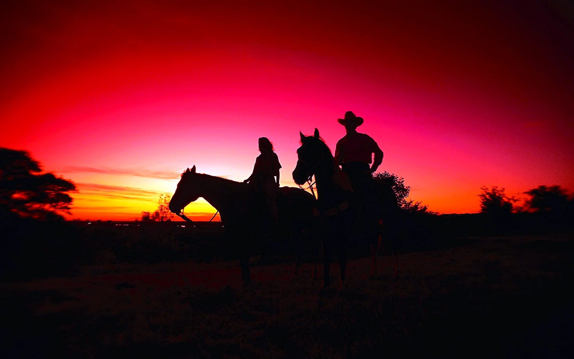 Texas Cowboy Wallpaper