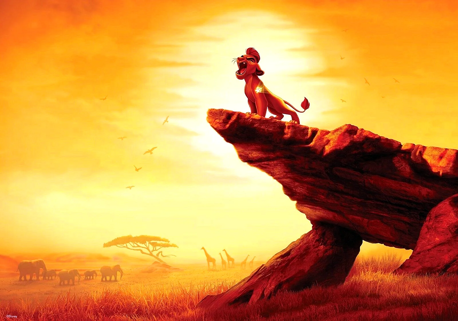 The Lion Guard Wallpaper