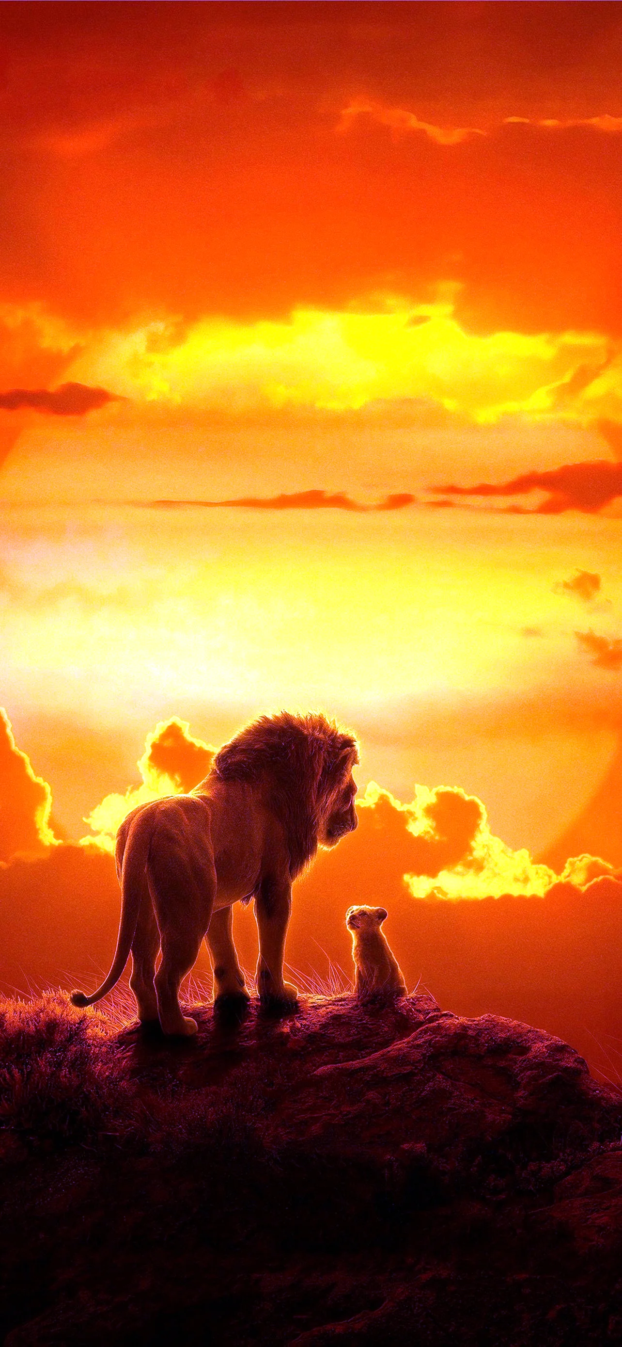 The Lion King 2019 Wallpaper for iPhone 14 Plus