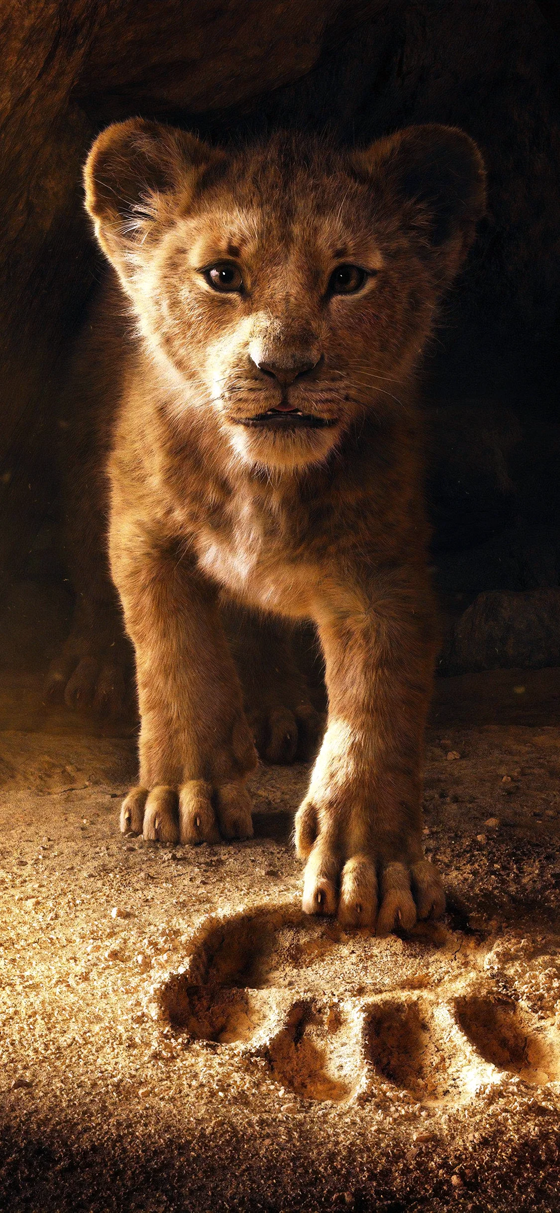 The Lion King 2019 Wallpaper for iPhone 11 Pro