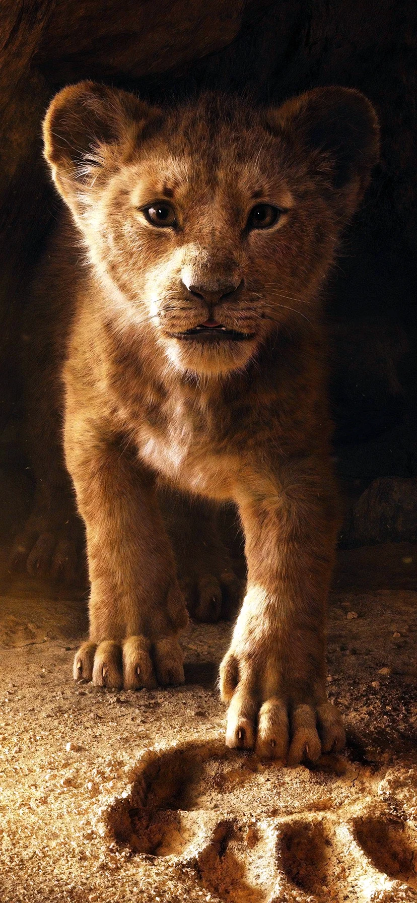 The Lion King 2019 Wallpaper for iPhone 11