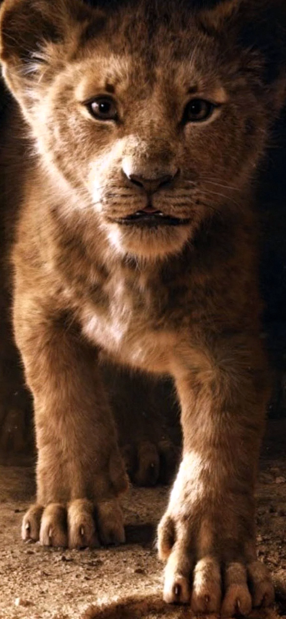 The Lion King 2019 Wallpaper for iPhone 13 Pro