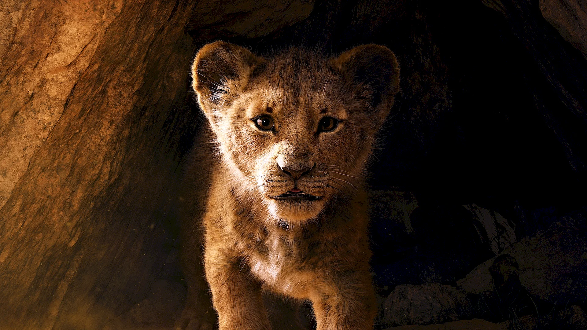The Lion King 2019 Wallpaper