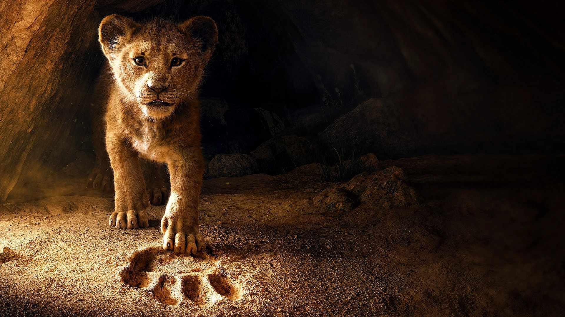 The Lion King 2019 Wallpaper
