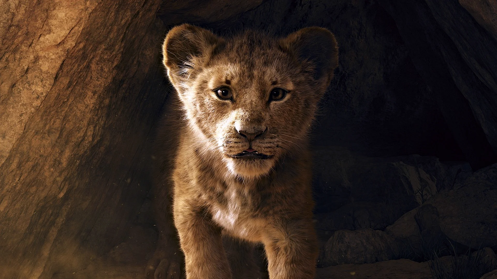 The Lion King 2019 Wallpaper