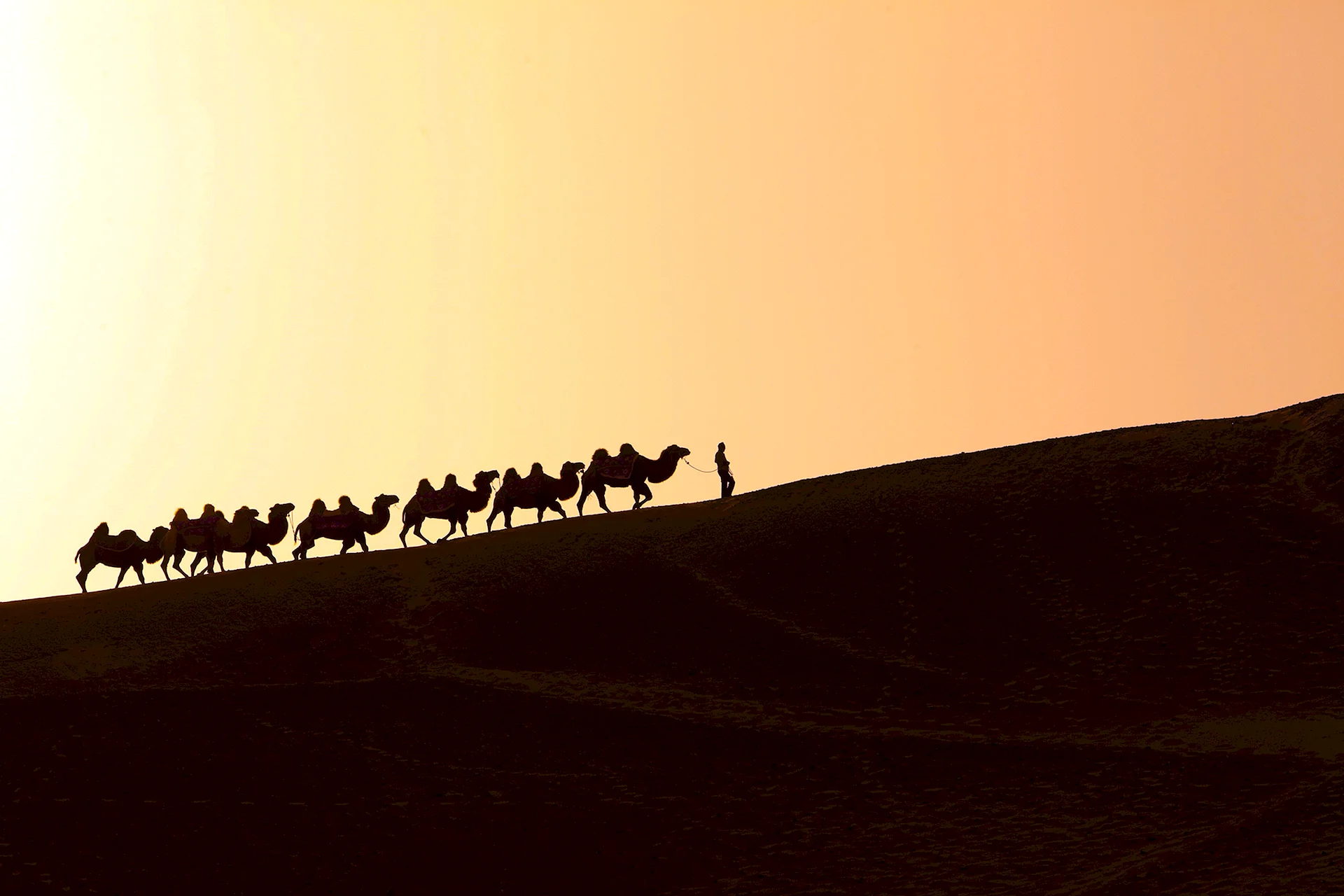 The Silk Road Caravan Wallpaper