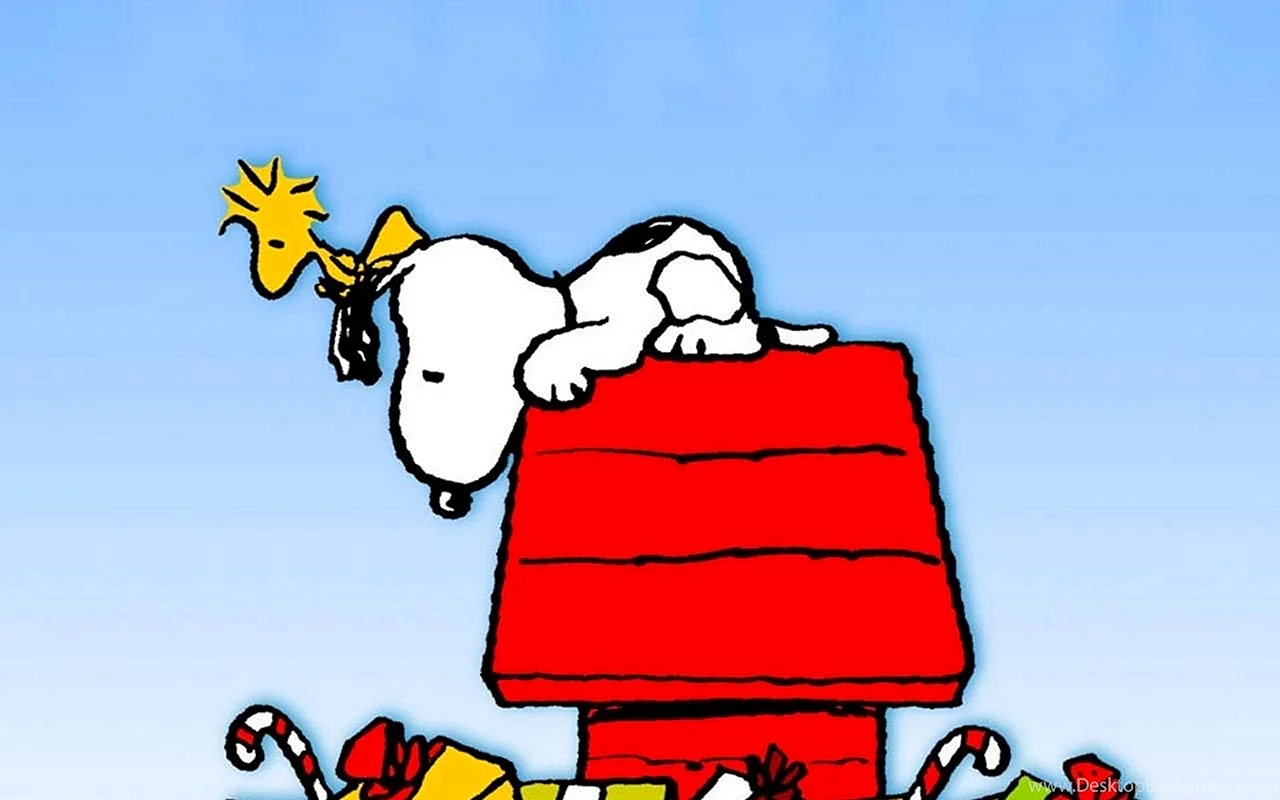 The Snoopy Show Wallpaper