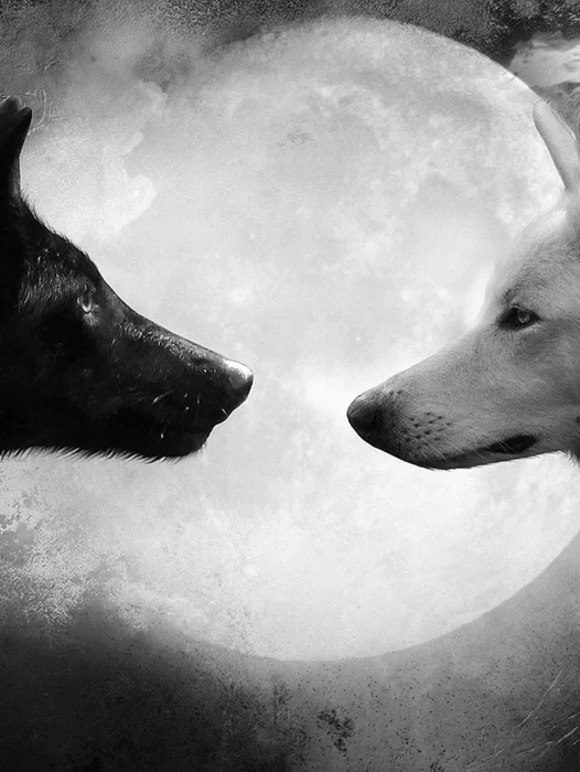 There Are Two Wolves Wallpaper