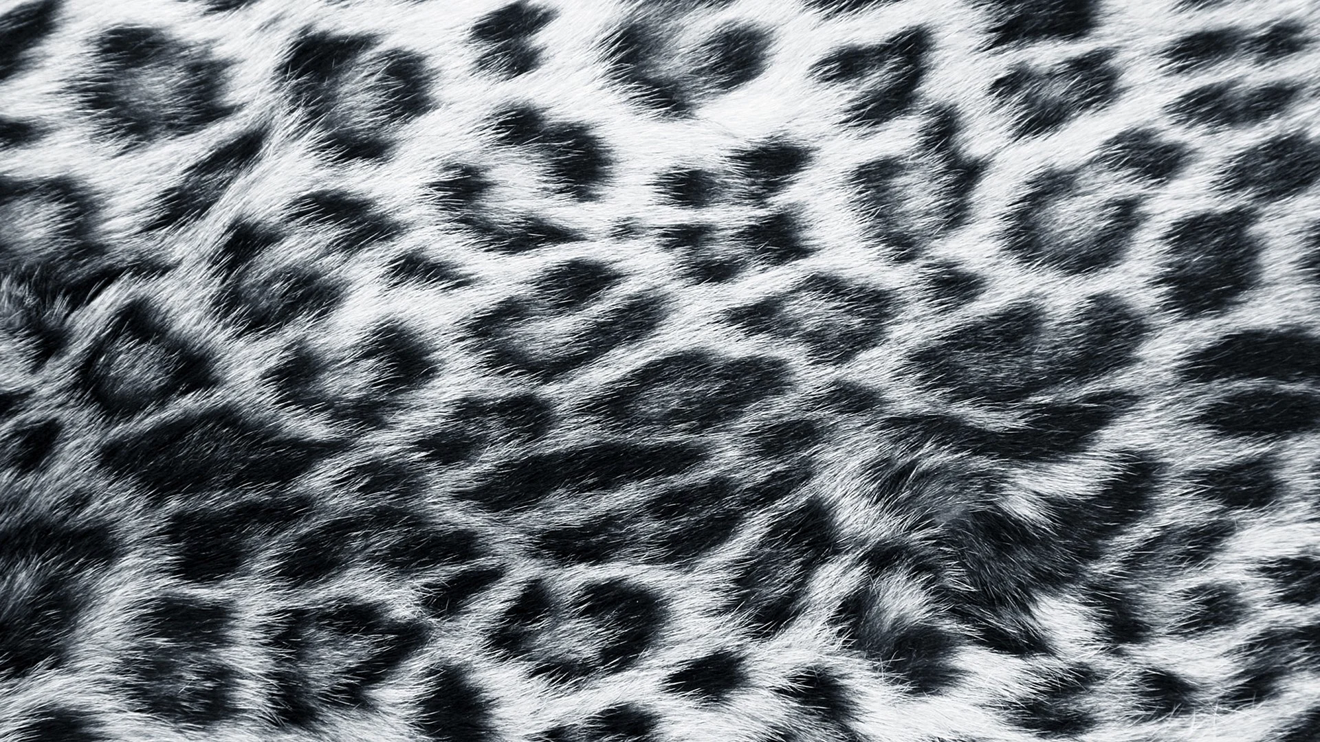 Tiger Skin Leopard Pattern Wallpaper